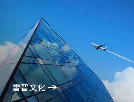 ad维瓦尔为