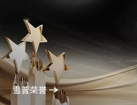ad维瓦尔为
